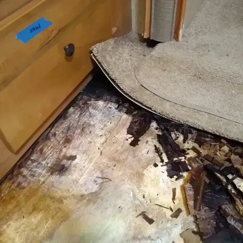 Best Wood Floor Water Damage Service in Broward Estates, FL